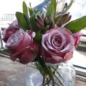 Meet your Posher, Carrie